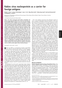 Rabies virus nucleoprotein as a carrier for