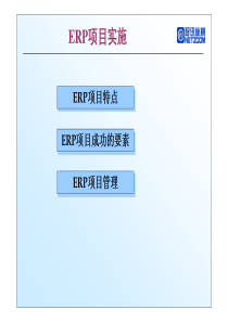 SAP ERP项目标准实施讲稿