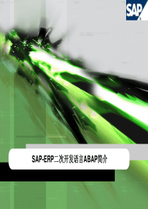 SAP-ERP简介