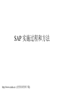 SAP实施过程和方法