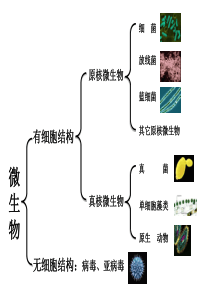 2其它原核微生物