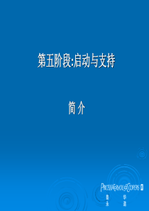 SAP实施过程第五阶段启动与支持ppt13