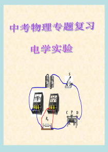 2017年中考物理总复习电学《实验专题》