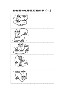 实物图与电路图互画练习(二)