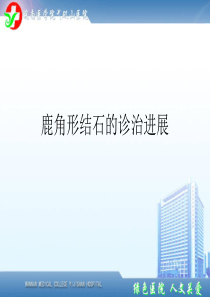 2014鹿角形结石指南解读