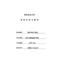 耕作学实习报告