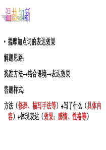 赏析句子的表达效果