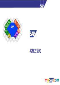 SAP_ERP实施方法论