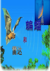 《蝙蝠和雷达》课件PPT