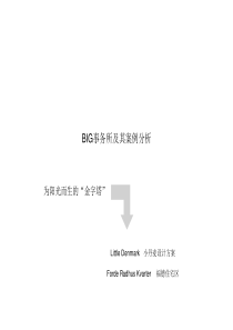 BIG事务所及其案例分析