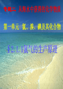 氯气的生产原理