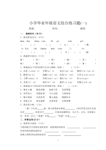 人教版小学六年级语文总复习模拟考试试卷