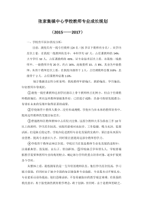 4.28.2张家集镇中心学校教师专业成长规划