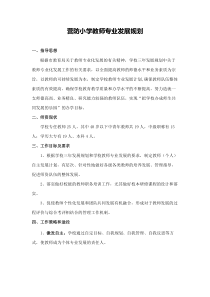 学校教师专业发展规划