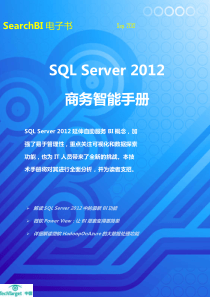 sqlserver2012商务智能手册