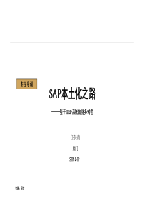 SAP本土化应用——基于ERP的财务转型(SAP方丈)