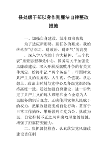 县处级干部以身作则廉洁自律整改措施