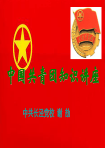 中国共青团知识讲座