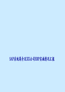 SAP系统简介及XX公司ERP实施情况汇报