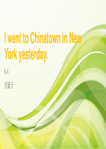 I-went-to-Chinatown-in-New-York-yesterday