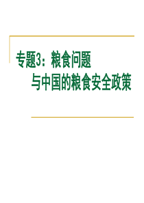 粮食问题与中国的粮食安全政策_环境科学食品科学_工程