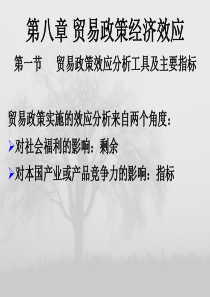 08贸易政策经济效应