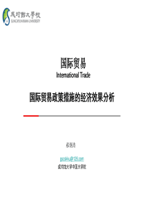 11hjt国际贸易-国际贸易政策措施的经济效果分析