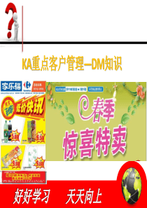 KA重点客户管理—DM知识