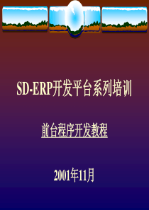 SDERP开发平台系列培训前台培训