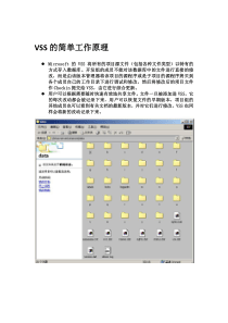 VSS2005客户端操作手册