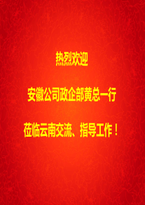 云南移动政企客户部XXXX年重点工作