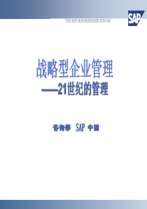 SAP战略型企业管理