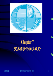 第七章贸易保护相关理论