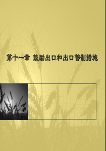 第十一章-鼓励出口和出口管制措施