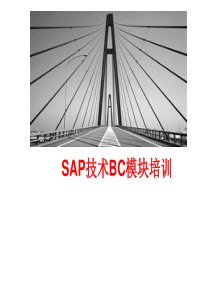 SAP技术培训资料