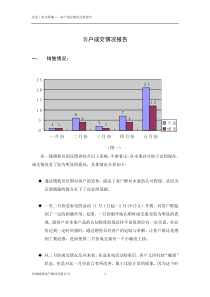 客户分析报告