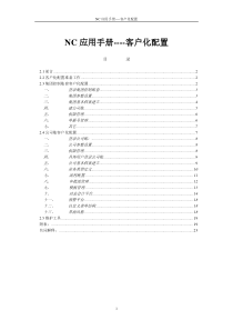 客户化配置应用手册