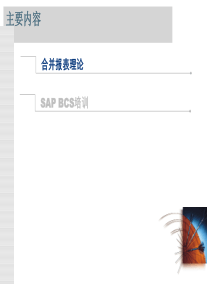 SAP报表合并理论ECCS实例教程