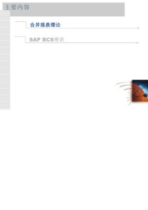 SAP报表合并理论ECCS实例教程_2