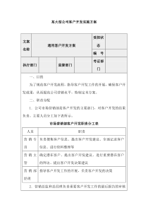 某大型公司客户开发实施方案