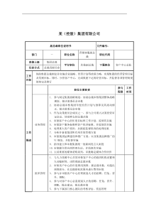 营销客服副总裁岗位说明书