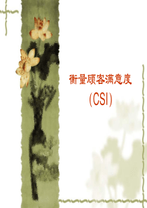 顾客满意度调查CSI（PPT26页）