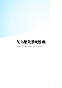 鸵鸟客服绩效说明手册