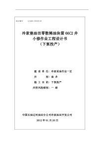 雷66C2新井射孔下泵生产小修工程设计书