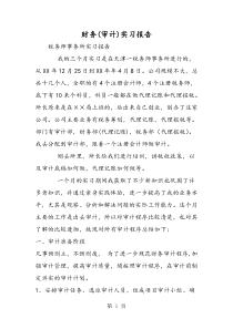 2019财务审计实习报告语文