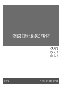 杨浦滨江区控制性详细规划前期汇报