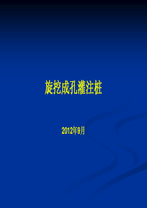 旋挖灌注桩施工详解