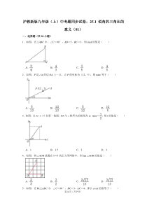 沪教新版九年级上学期-中考题同步试卷：25.1-锐角的三角比的意义(01)