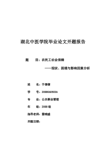 农民工社会保障现状、困境与影响因素分析