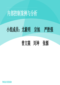 三九集团内部控制环境案例分析ppt